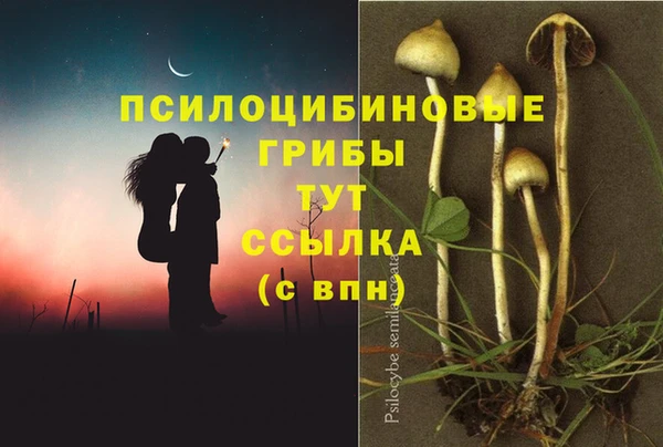Альфа ПВП Мегион
