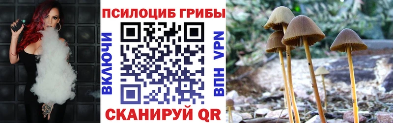 Галлюциногенные грибы Psilocybine cubensis Данилов